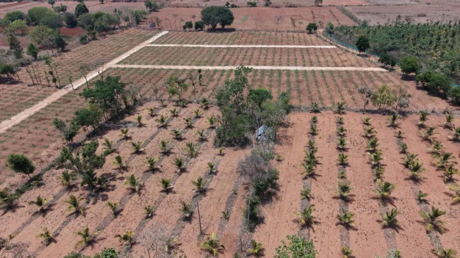 Aerial farmland photo 44